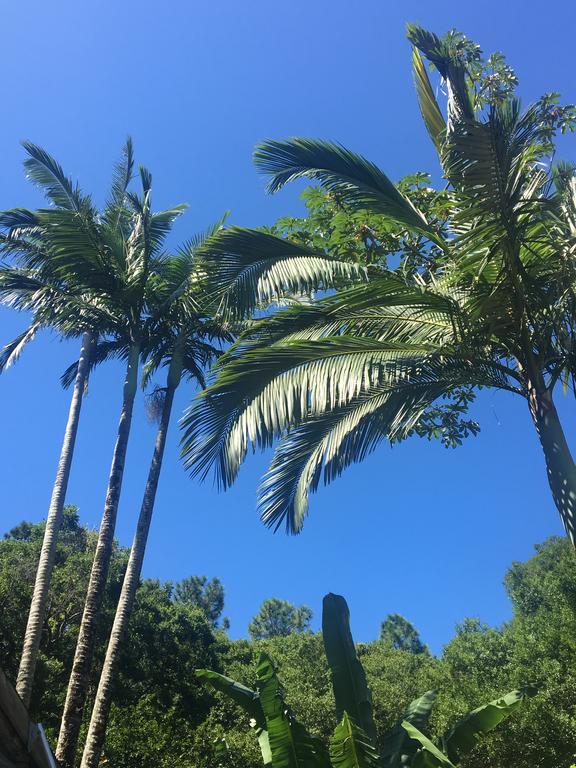 Pousada Jardim Da Lagoa Hotel Florianópolis Eksteriør billede